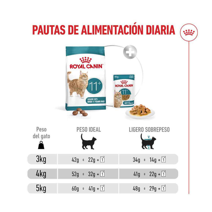 4 kg Royal Canin Ageing 11+ pienso para gatos&nbsp;senior, , large Imagen numero 9