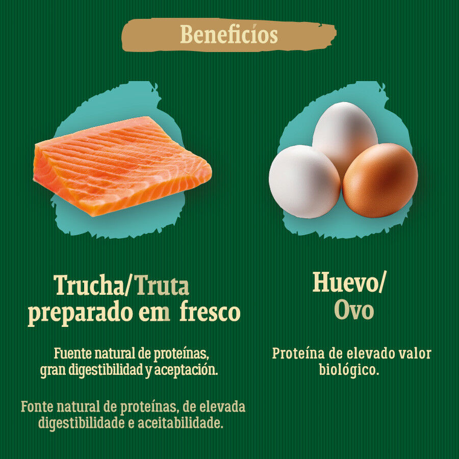 2 kg True Origins Wild Ocean River Salm&oacute;n y Trucha pienso para gatitos, , large indicador imagen numero 5