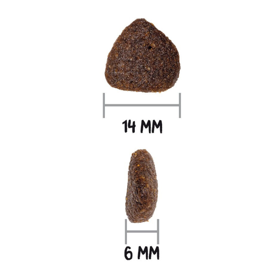 14 kg Ownat Just Grain Free Adult Cordero pienso para perros, , large indicador imagen numero 3