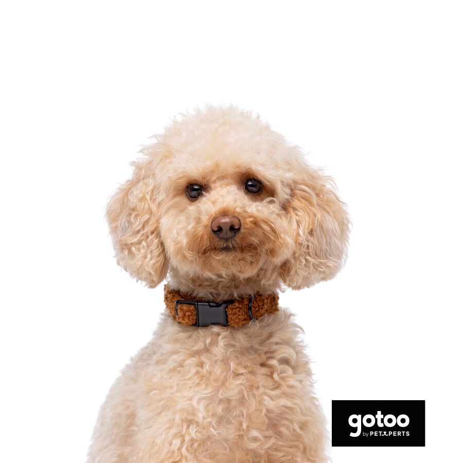 Gotoo Collar teddy marr&oacute;n para perros, , large indicador imagen numero 3