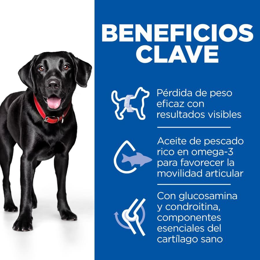 12 kg Hill's Science Plan Perfect weight y Active Mobility pollo pienso para perros grandes, , large indicador imagen numero 3