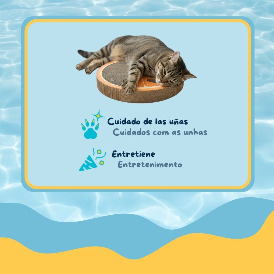 Summer Vibes Rascador Naranja Cart&oacute;n para gatos, , large indicador imagen numero 4