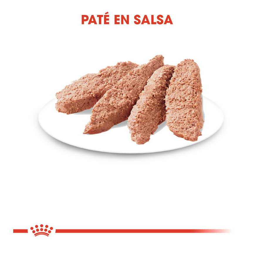 85 g Royal Canin Sterilised Pat&eacute; sobre para gatos, , large Imagen numero 4