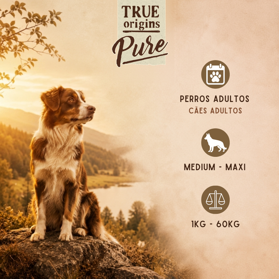 12 kg True Origins Pure Adult Medium Maxi Salm&oacute;n pienso para perros, , large Imagen numero 3