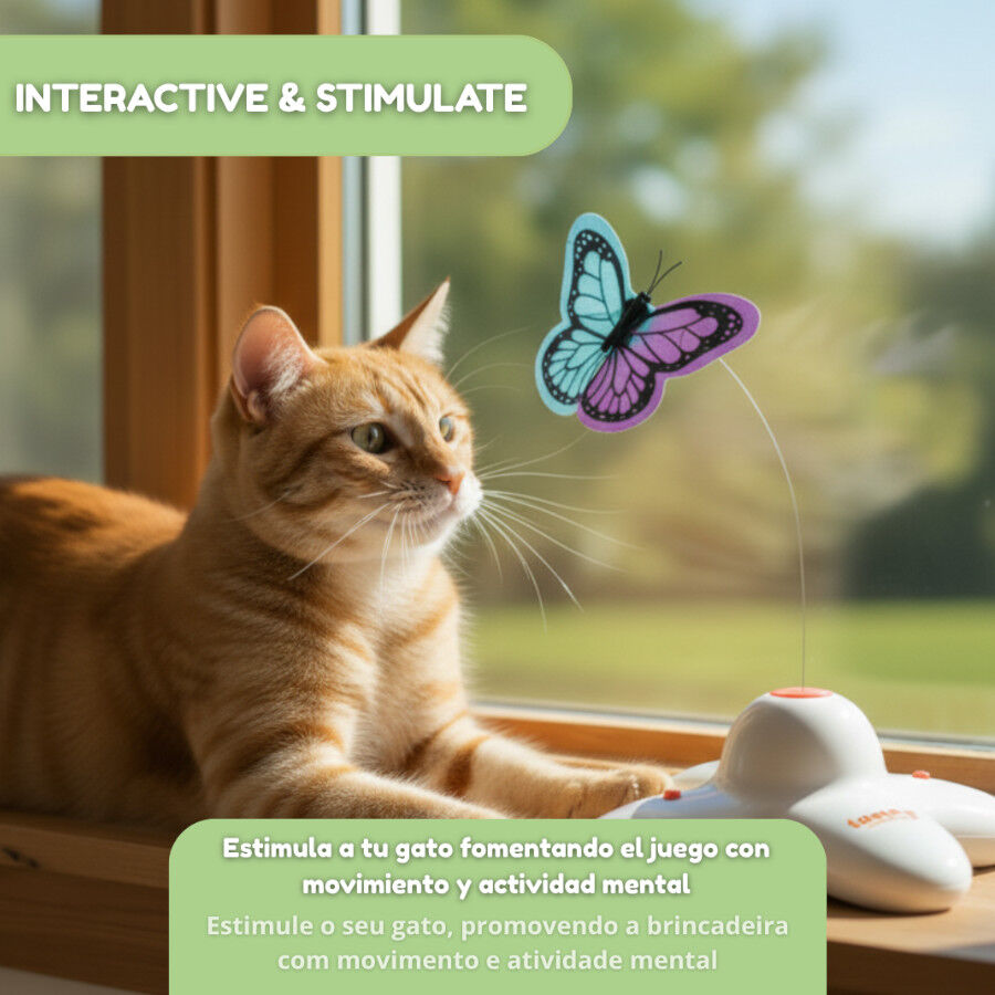 Tootoy! Mariposa Se&ntilde;uelo Interactiva para gatos, , large indicador imagen numero 7