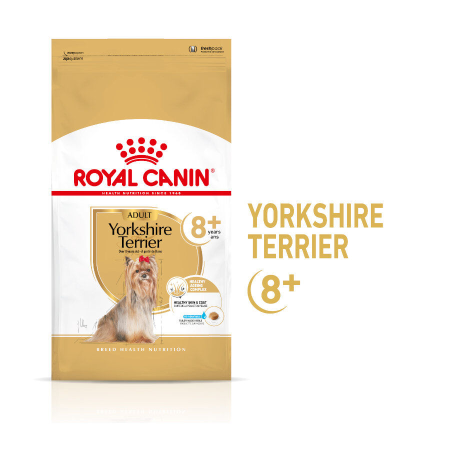 1.5 kg Royal Canin Adult 8+ Yorkshire pienso para perros, , large indicador imagen numero 1