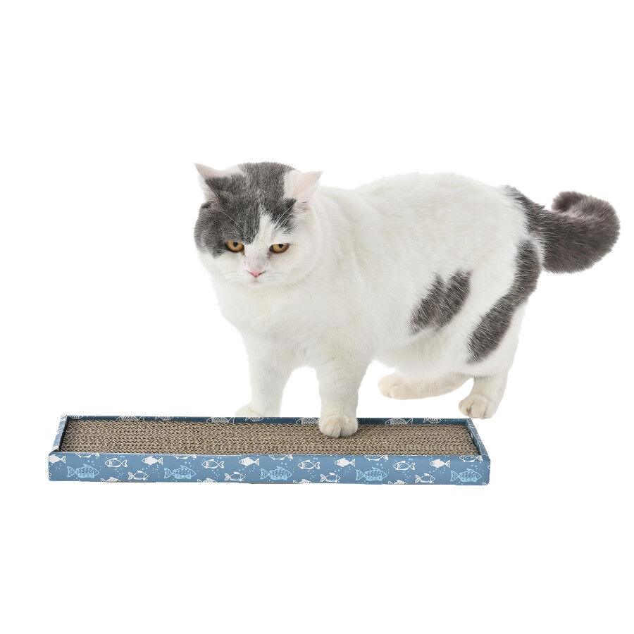 Leeby Fitz tabla rascador de cart&oacute;n azul para gatos, , large Imagen numero 10