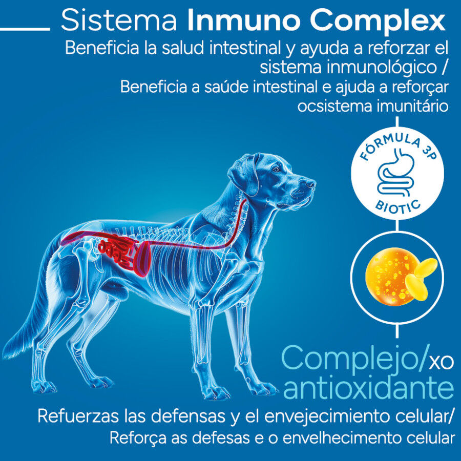 12 kg Criadores Cient&iacute;fico Adulto Maxi Pienso Pollo para perros, , large indicador imagen numero 3