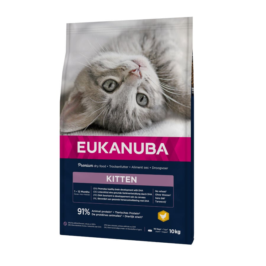 10 kg Eukanuba Kitten Pollo pienso para gatos, , large Imagen numero 1