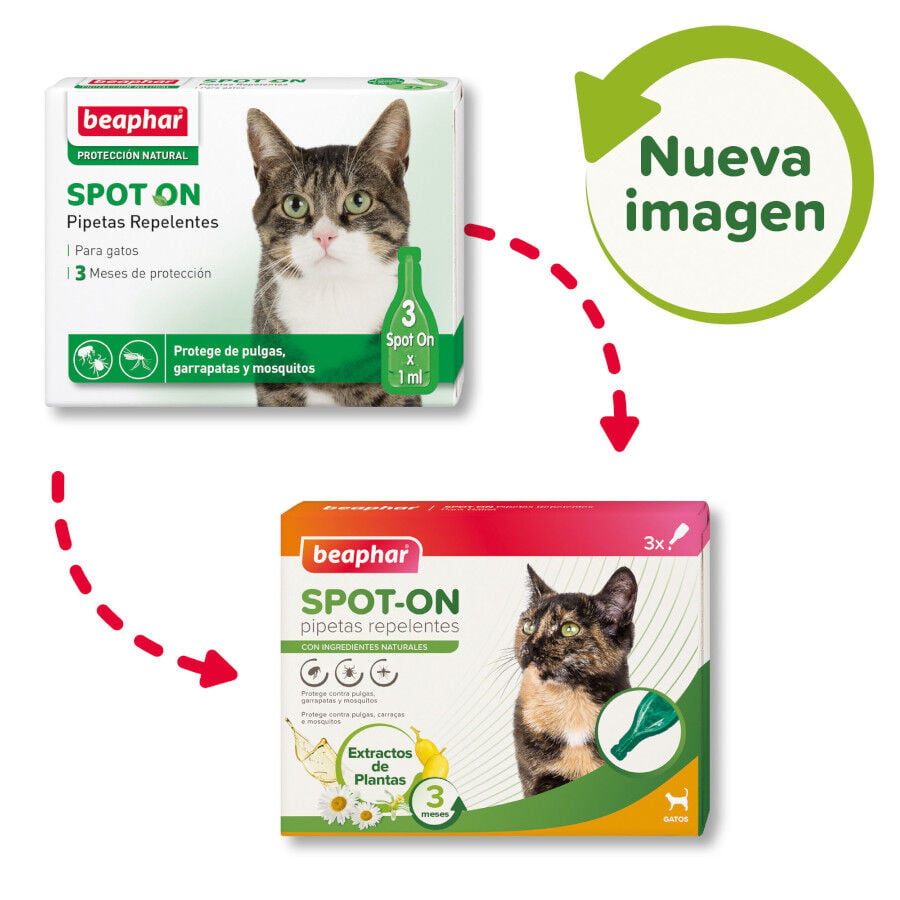 Beaphar Pipetas repelentes para gatos, , large indicador imagen numero 2