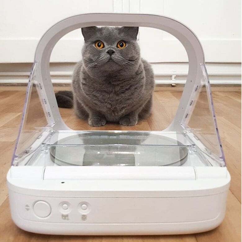 Sure Petcare Surefeed Comedero Autom&aacute;tico con Microchip, , large Imagen numero 7