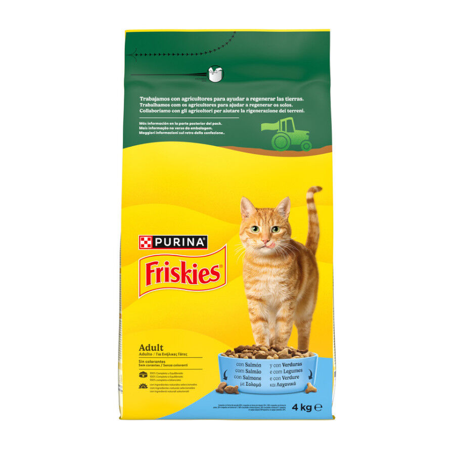 4 kg Purina Friskies Adult Pienso para gatos con salm&oacute;n y verduras, , large Imagen numero 1
