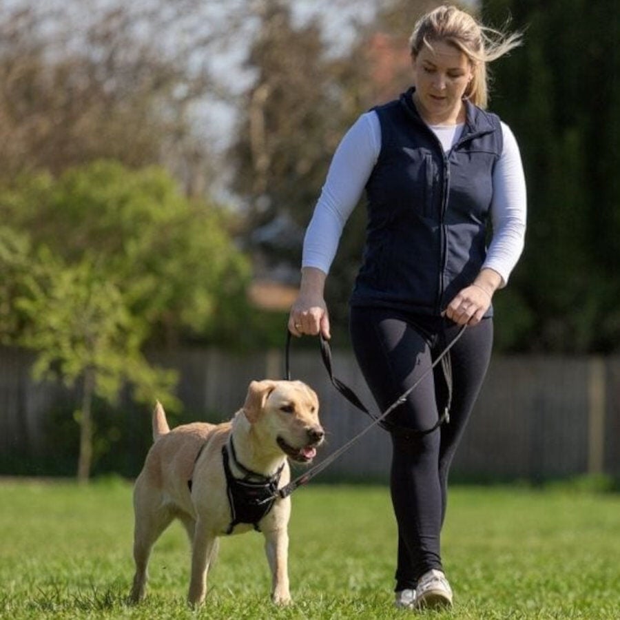 Halti correa de adiestramiento roja para perros medianos y peque&ntilde;os, , large Imagen numero 2