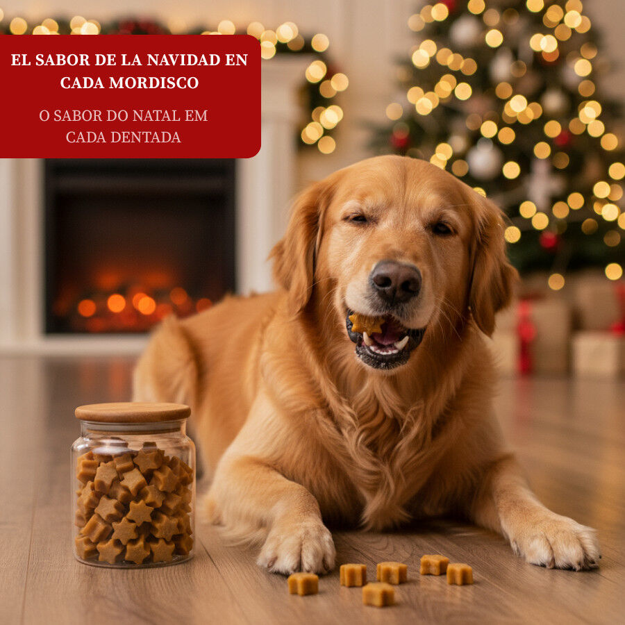 70 g Wonder Christmas Galletitas Navide&ntilde;as para perros, , large indicador imagen numero 4