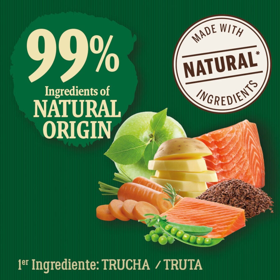 2 kg True Origins Wild Ocean River Salm&oacute;n y Trucha pienso para gatitos, , large indicador imagen numero 3