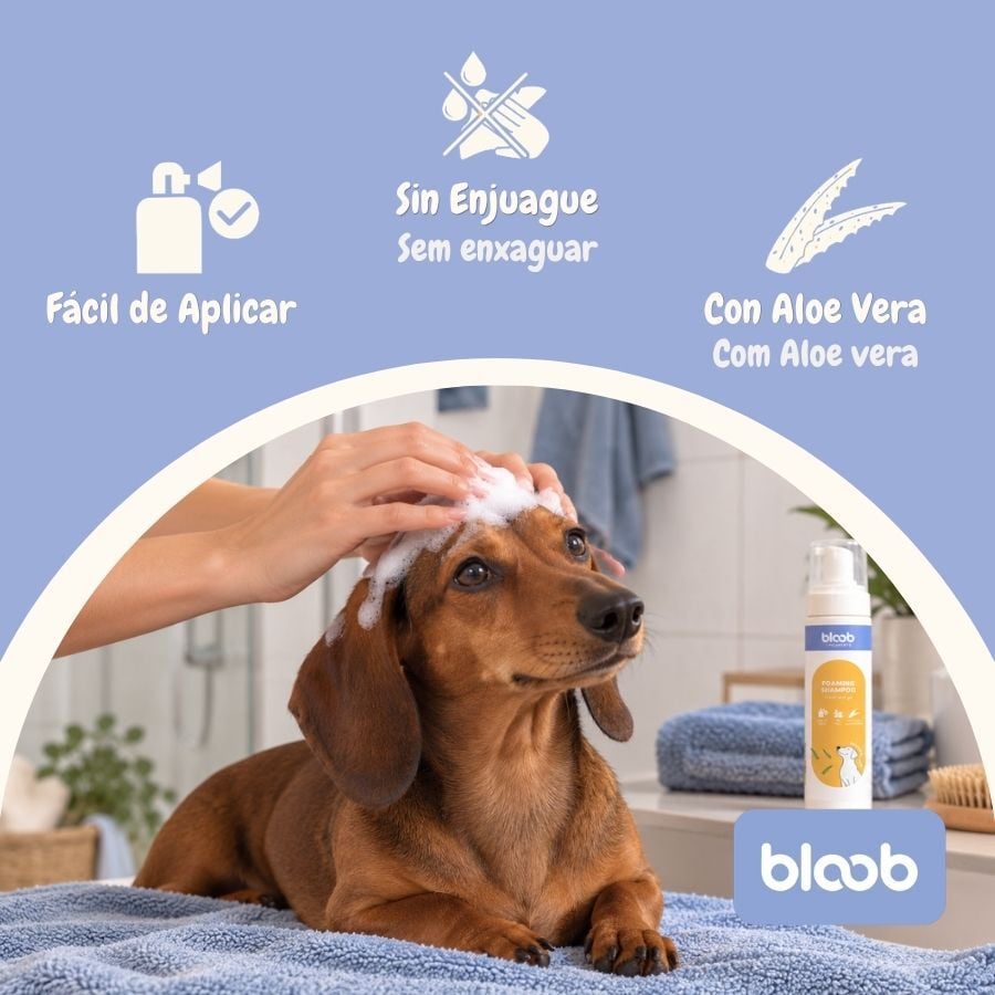 Bloob Champ&uacute; Seco en Espuma para perros, , large indicador imagen numero 3
