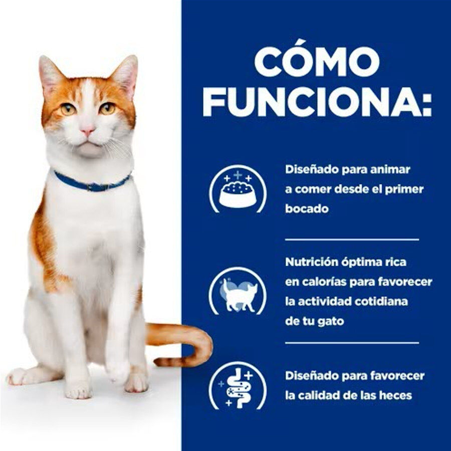 1.5 kg Hill's Prescription Diet ON-Care Pollo pienso para gatos, , large Imagen numero 3