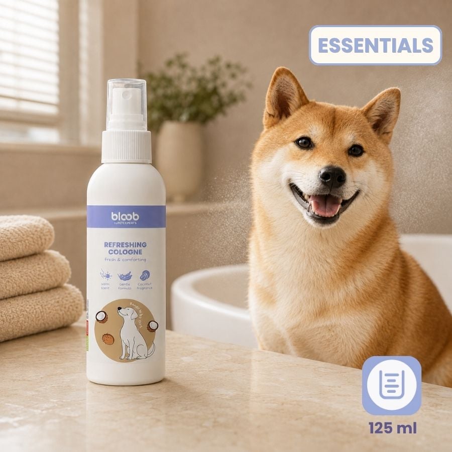 Bloob Colonia Refrescante Coco para perros, , large Imagen numero 7