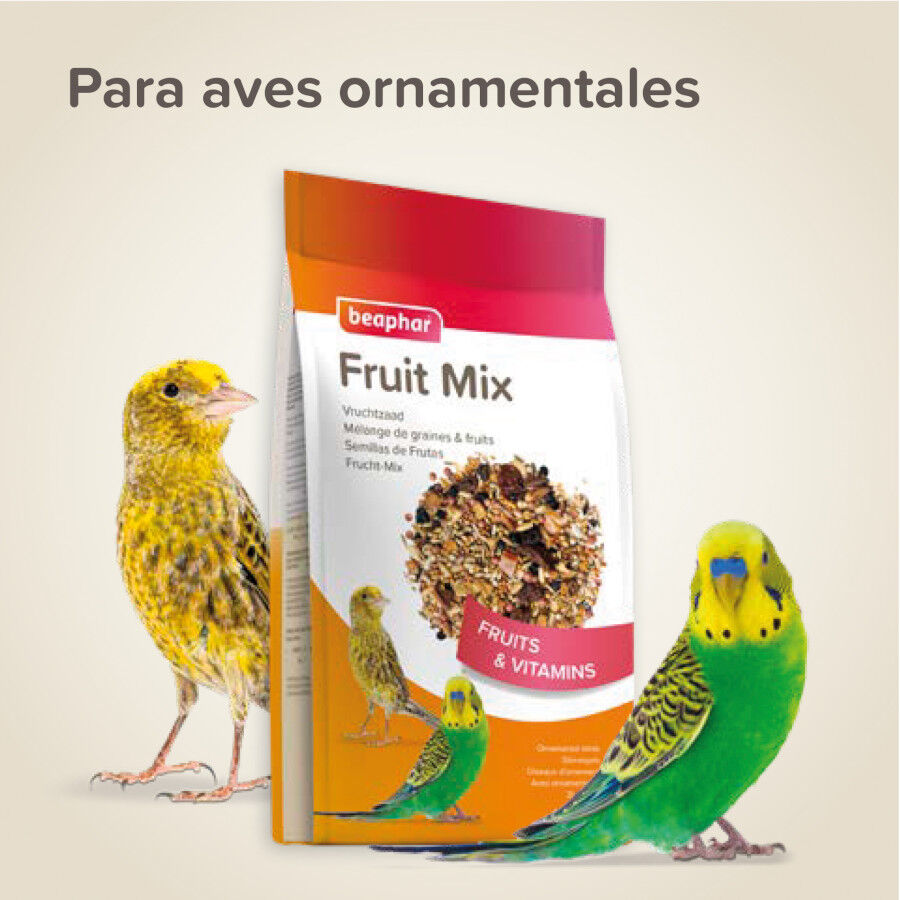 Beaphar Semillas de frutas para p&aacute;jaros, , large indicador imagen numero 5