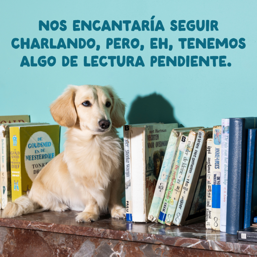 150 g Edgard & Cooper Adult Grain Free Cordero y Pollo sobre para perros, , large Imagen numero 11