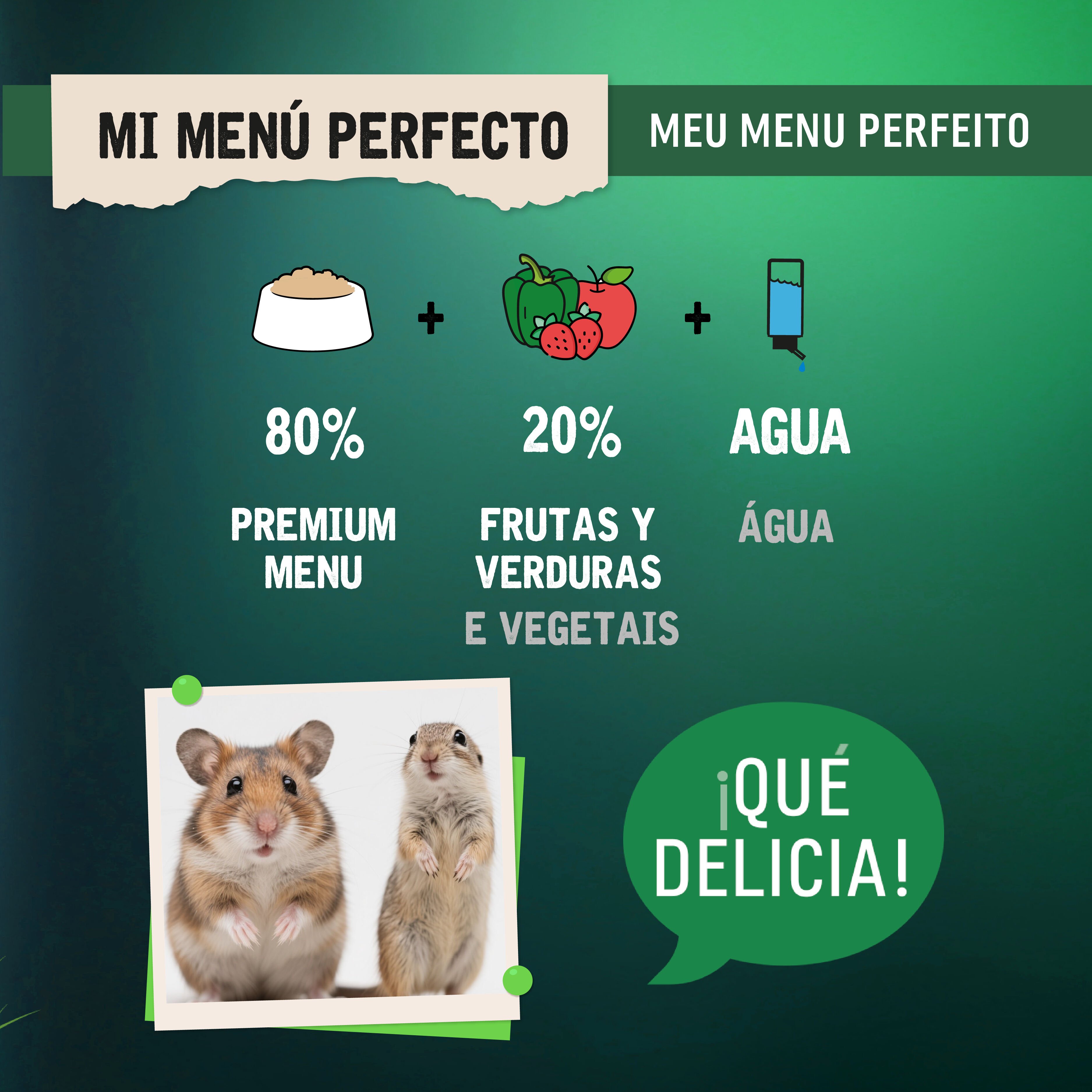 0.8 kg Small Life Selection Premium Men&uacute; Pienso para h&aacute;mster, , large Imagen numero 5