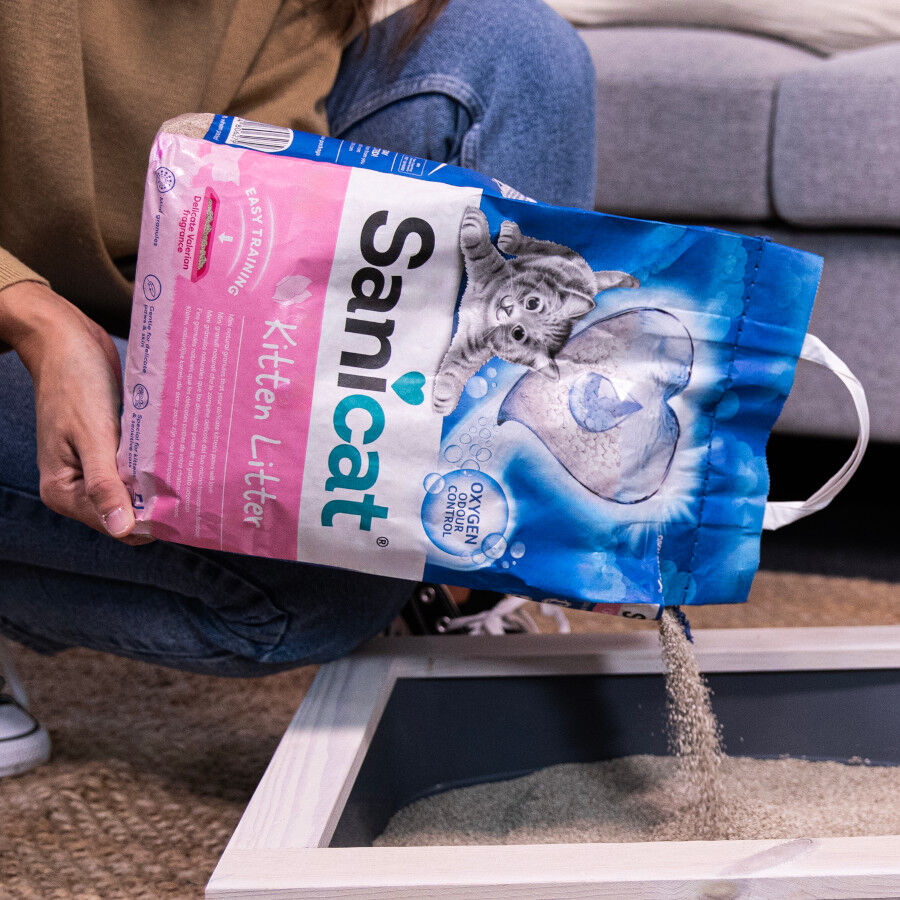 5 L Sanicat Kitten Arena Superabsorbente para gatitos, , large Imagen numero 4