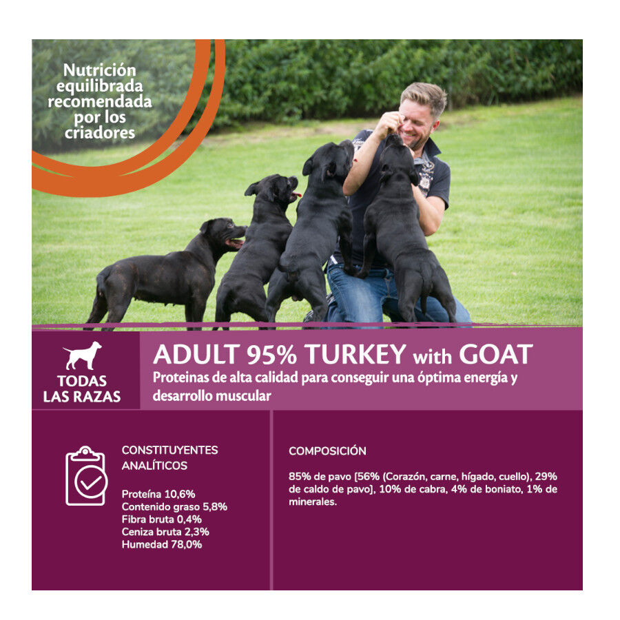 400 g Wellness Core Pavo y Cabra Lata para perros, , large indicador imagen numero 3