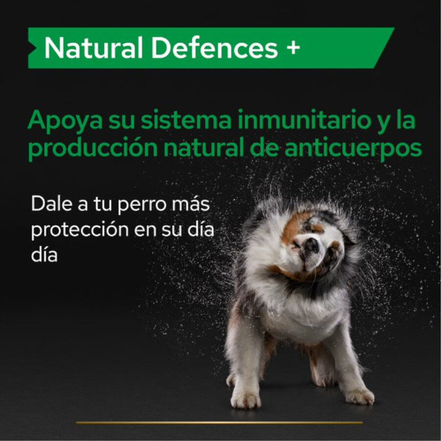 67 g Pro Plan Relax + para perros, , large indicador imagen numero 5