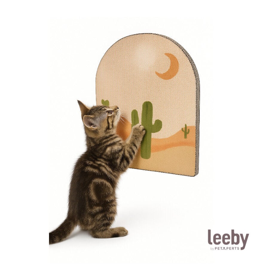Leeby Darcy tabla rascador de cart&oacute;n para gatos