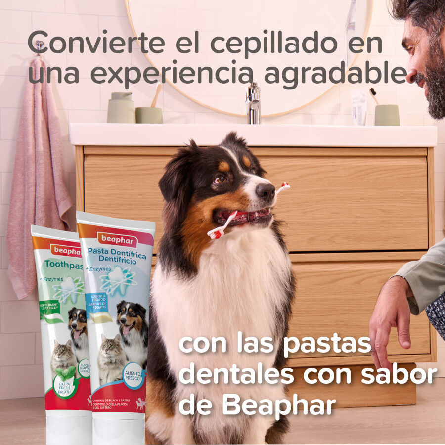 Beaphar Cepillo Dental de Bamb&uacute; para Perros y Gatos, , large Imagen numero 3