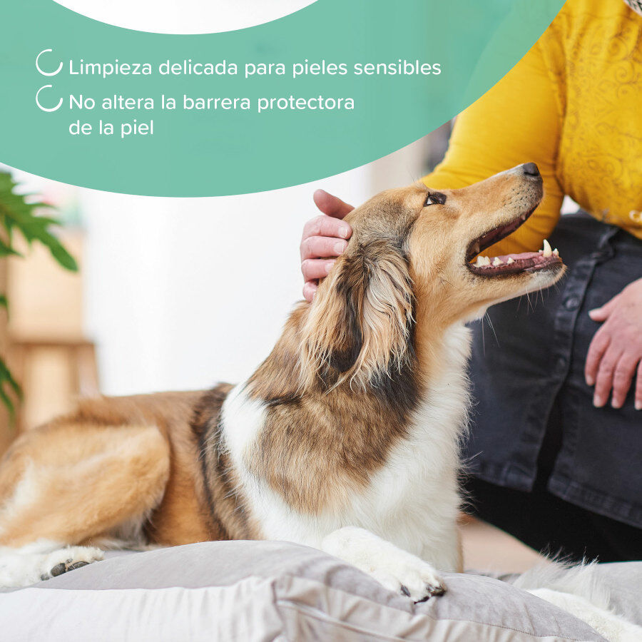 Beaphar Champ&uacute; Hipoalerg&eacute;nico para perros y gatos, , large indicador imagen numero 4