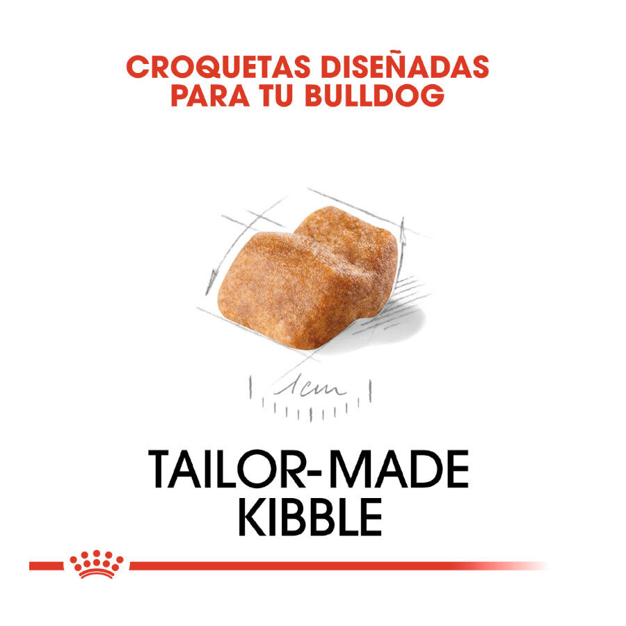 12 kg Royal Canin Puppy Bulldog pienso para perros, , large indicador imagen numero 5