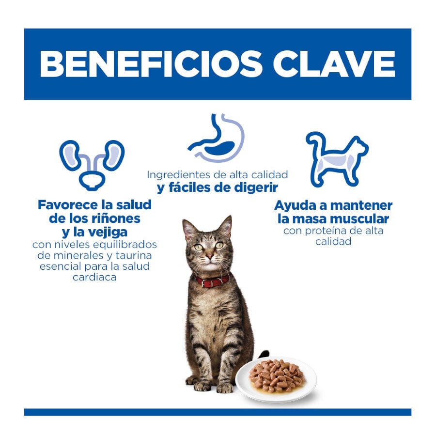 85 g Hill's Science Plan Adult Ternera Sobre en Salsa para gatos, , large indicador imagen numero 4