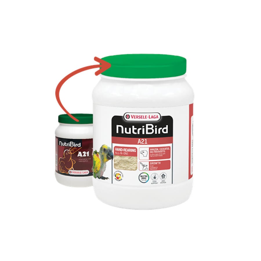 Versele-Laga Nutribird Papilla para cr&iacute;as, , large Imagen numero 1