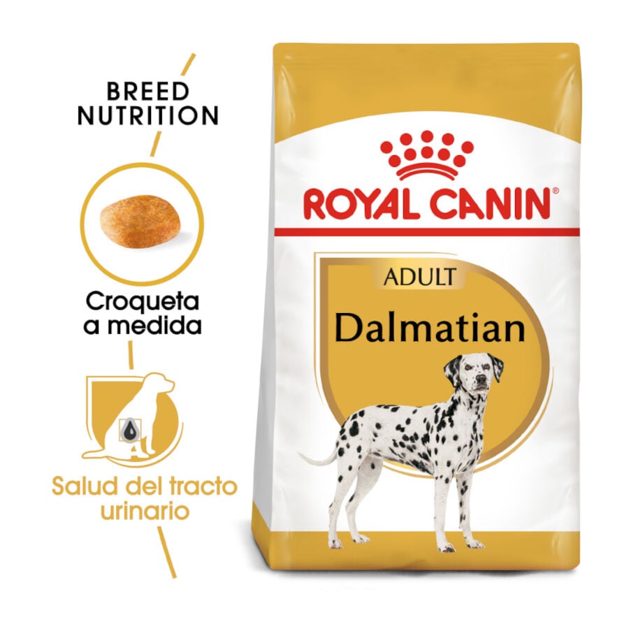 12 kg Royal Canin Adult D&aacute;lmata pienso para perros, , large indicador imagen numero 2