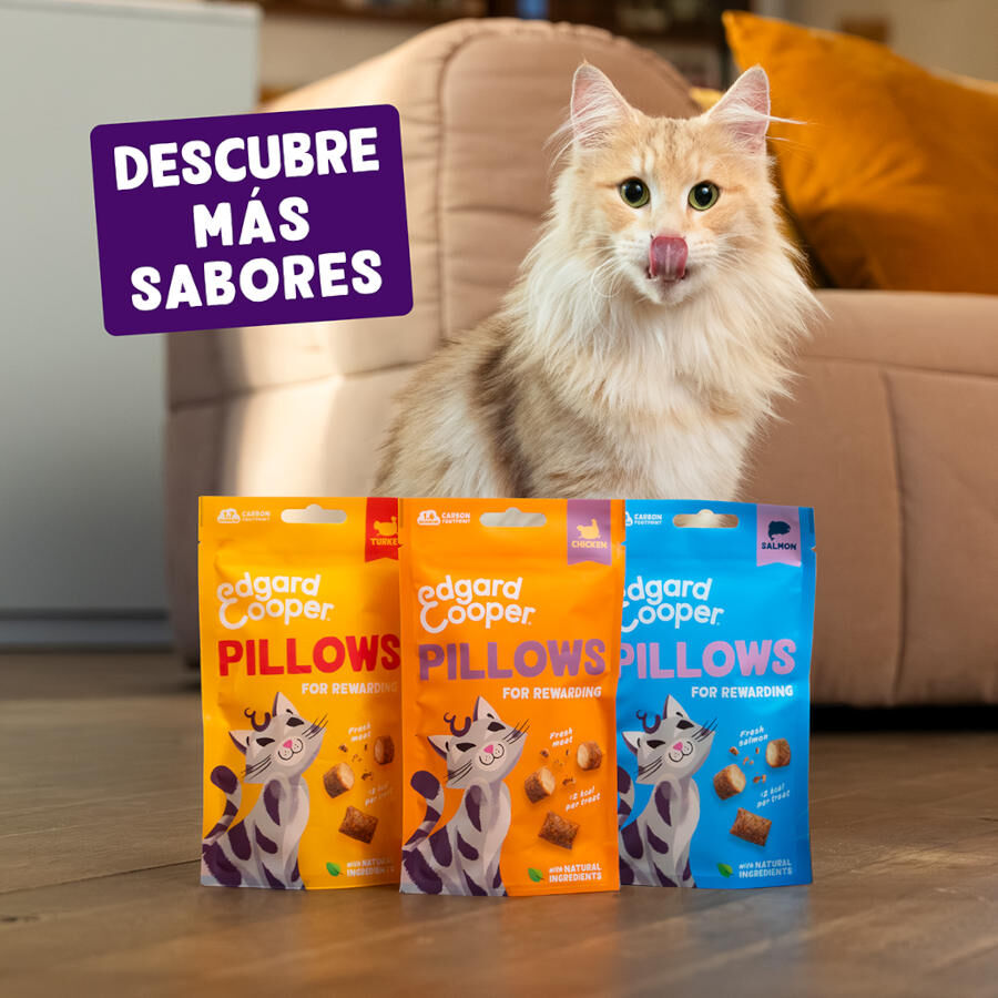 60 g Edgard & Cooper Bocaditos Pillows Pavo para gatos, , large Imagen numero 7