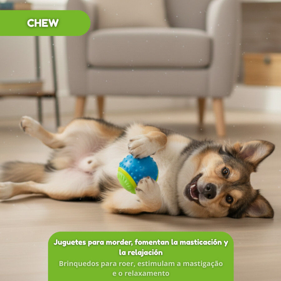 Tootoy! Pelota de Goma con Texturas para perros, , large indicador imagen numero 7