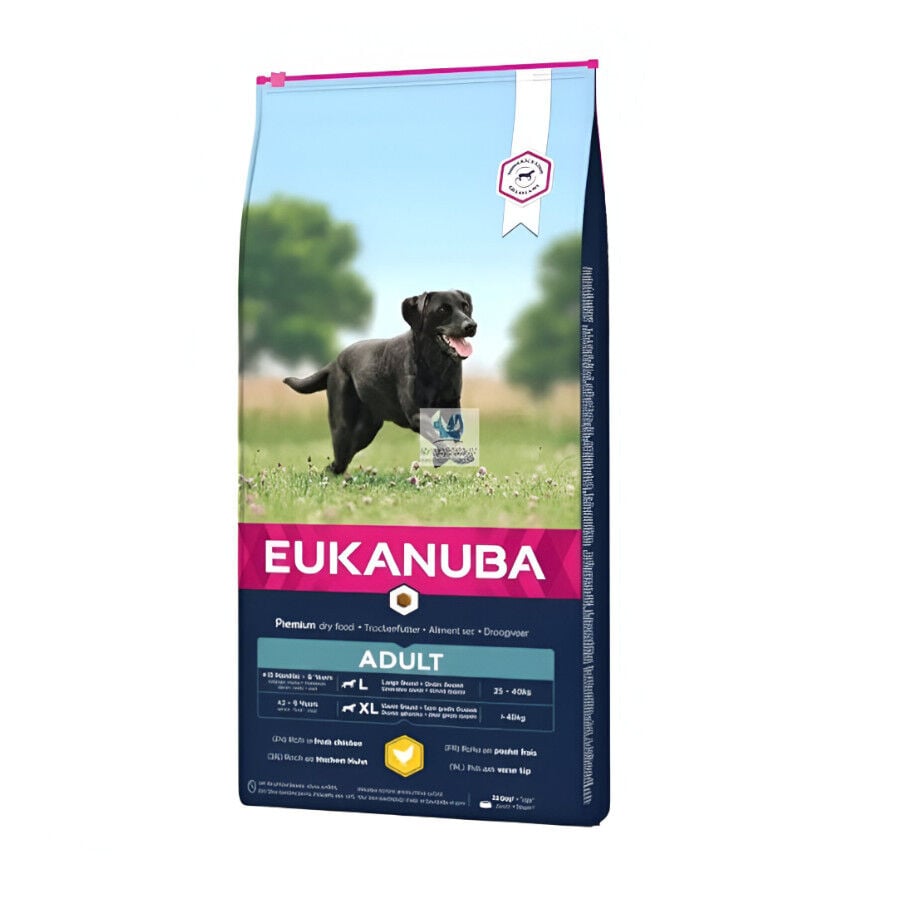 15 kg Eukanuba Adult Large Pollo pienso para perros, , large Imagen numero 3