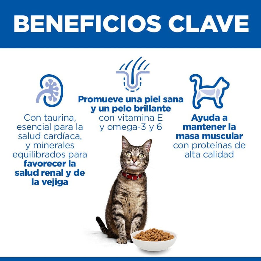 10 kg Hill's Science Plan Adult Pollo pienso para gatos, , large indicador imagen numero 4
