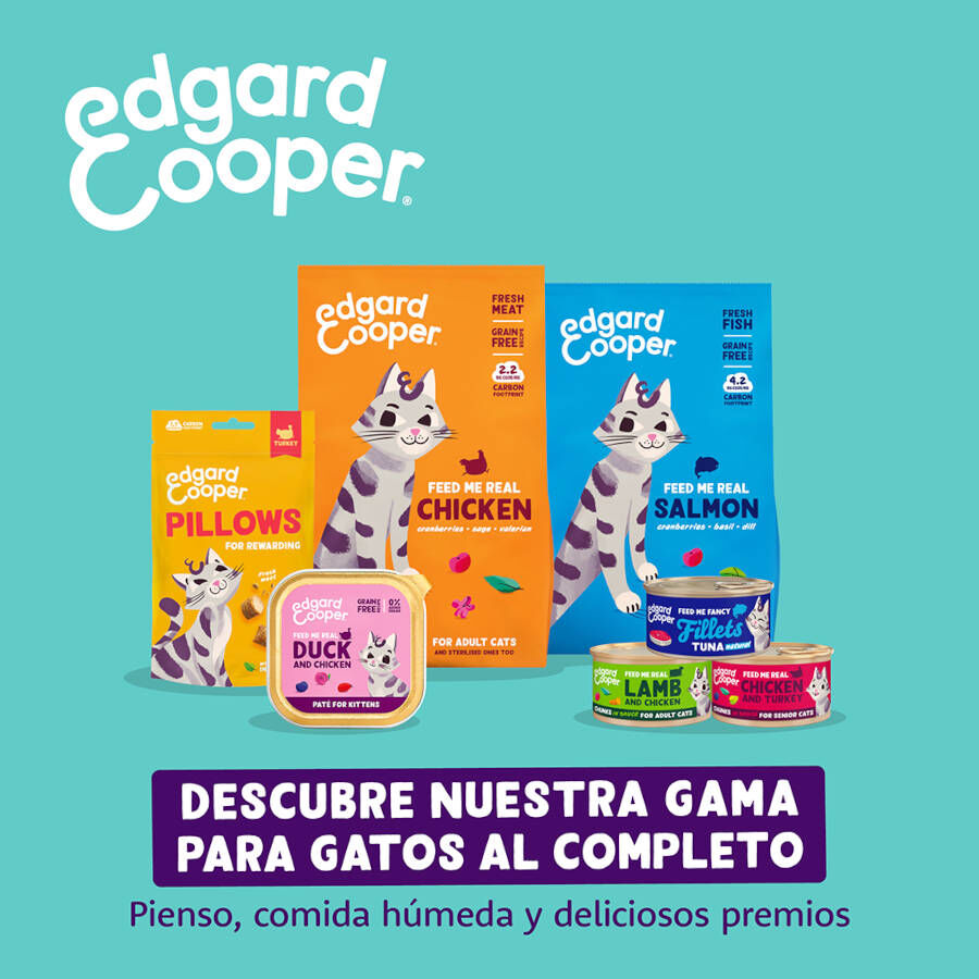 50 g Edgard & Cooper Galletas Crunchies Pollo para gatos, , large indicador imagen numero 8