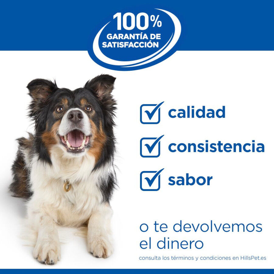 14 kg Hill's Science Plan Puppy Medium Cordero y arroz Pienso para perros, , large indicador imagen numero 10