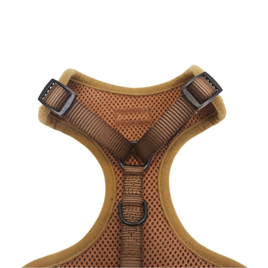 Gotoo Arn&eacute;s ajustable teddy marr&oacute;n para perros, , large Imagen numero 5