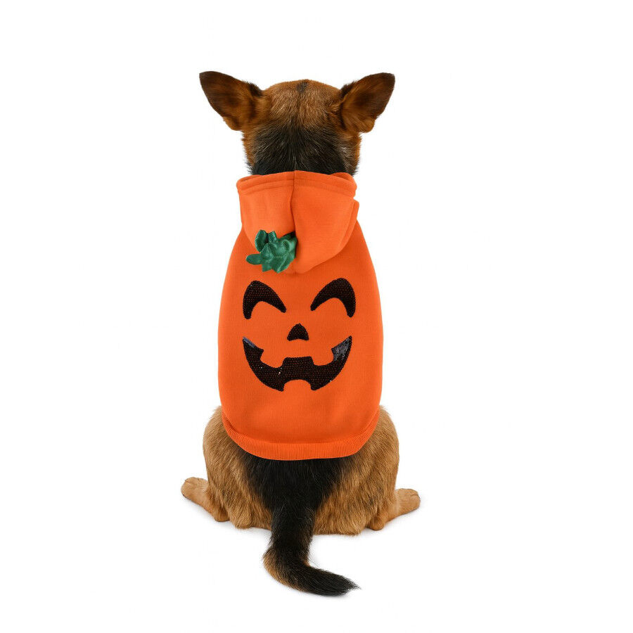 Nayeco Sudadera Halloween para perros, , large Imagen numero 4