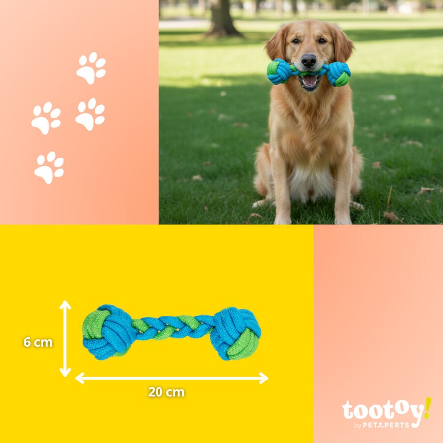 Tootoy! Hueso Mordedor de Cuerda Verde y Azul para perros, , large indicador imagen numero 4