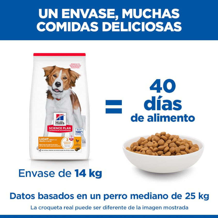 14 kg Hill's Science Plan Adult Light Medium Pollo pienso para perros, , large Imagen numero 6