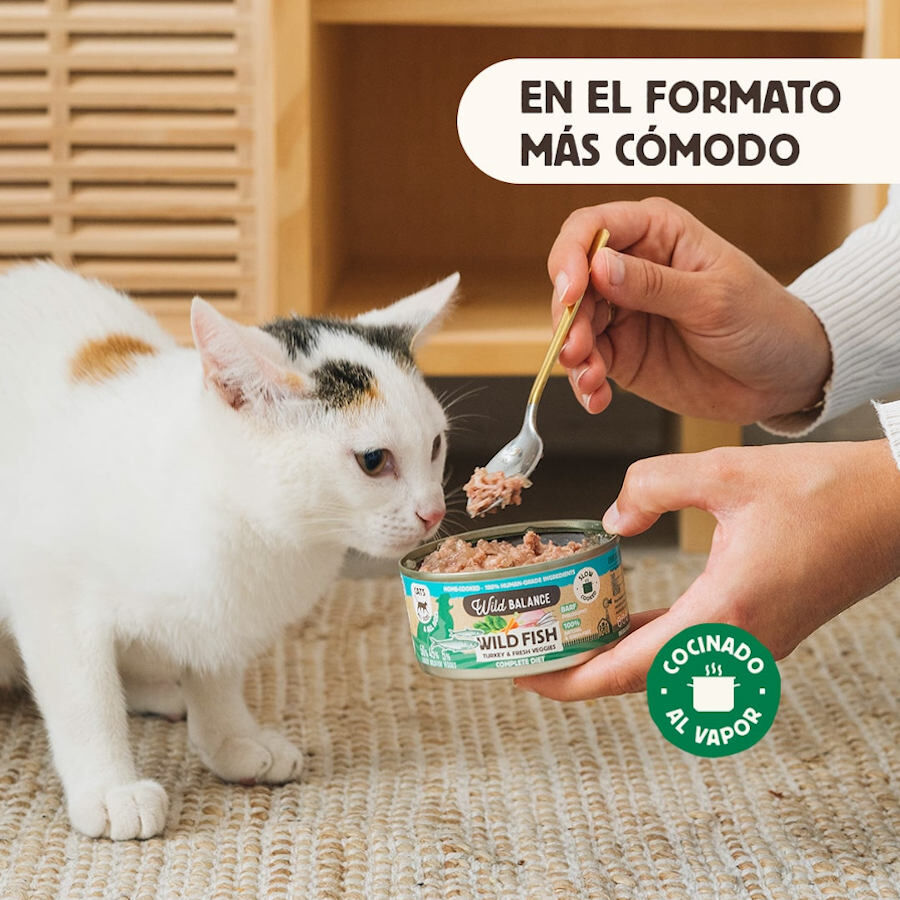 120 g Wild Balance BARF Pescado y Pavo lata para gatos, , large Imagen numero 3