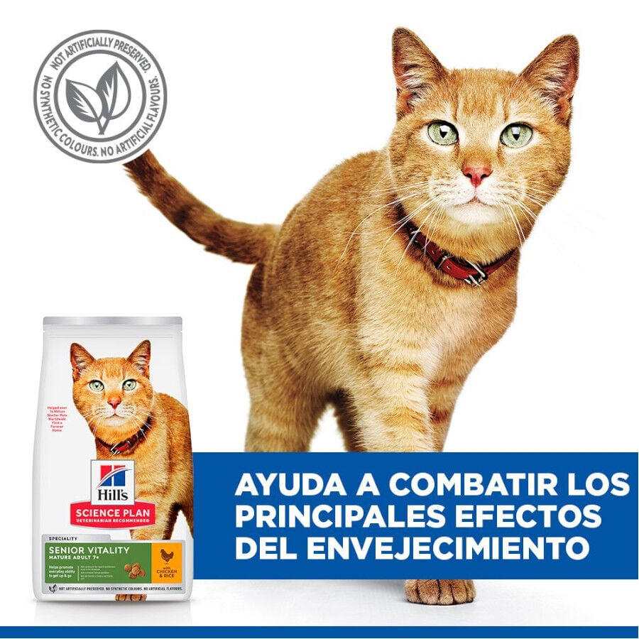 1.5 kg Hill's Science Plan Youthful Vitality Pollo pienso para gatos, , large Imagen numero 7