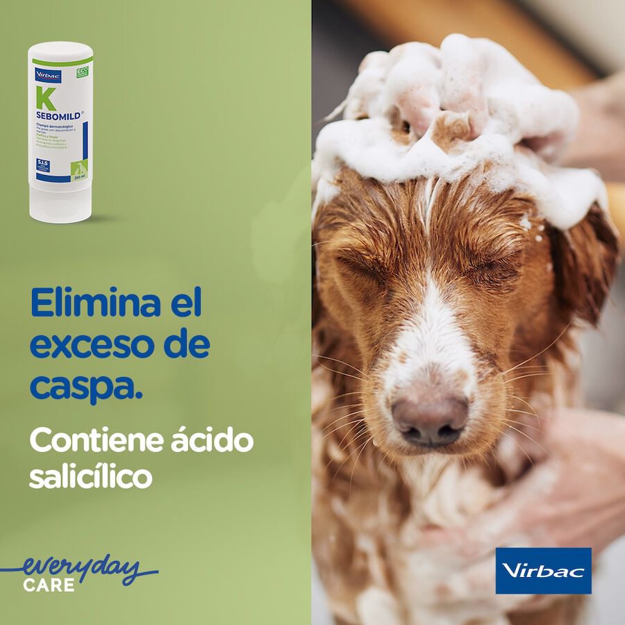 Virbac Sebomild Champ&uacute; para pieles grasas en perros y gatos, , large Imagen numero 6