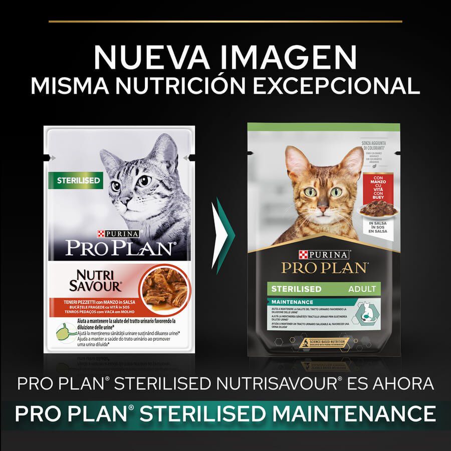 85 g Pro Plan Sterilised Maintenance sobre con Buey en salsa para gatos, , large indicador imagen numero 2