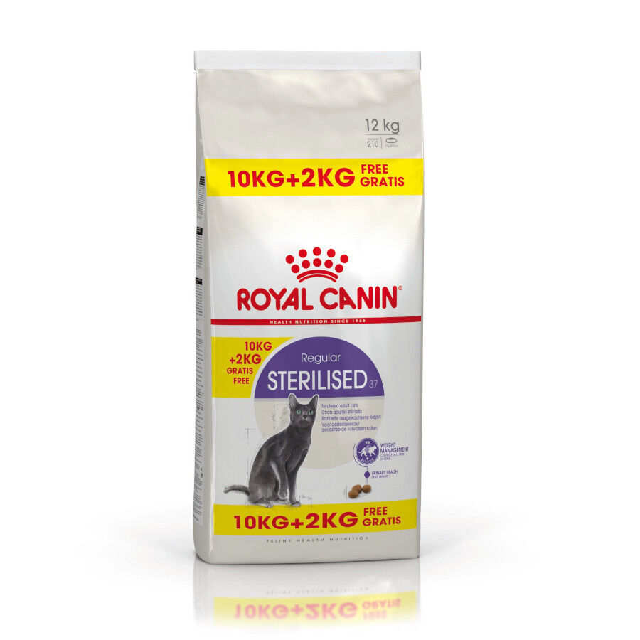 12 kg (10 + 2 kg &iexcl;gratis!) Royal Canin Regular Sterilised 37 pienso para gatos, , large Imagen numero 1
